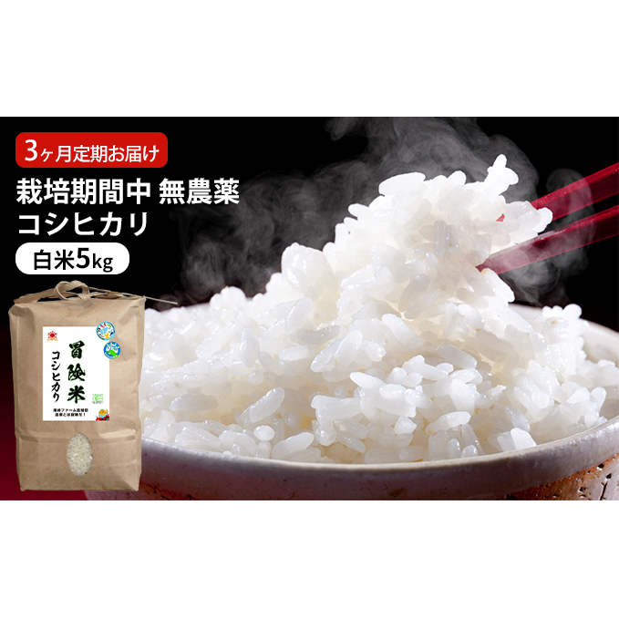 栽培期間中 無農薬コシヒカリ 白米5kg 3ヶ月定期お届け お米ブランド米 精米 ご飯 おにぎり お弁当 和食 福井県認証特別栽培米 粘り 香り 旨み つや 福井県若狭町42000米・パン白米
