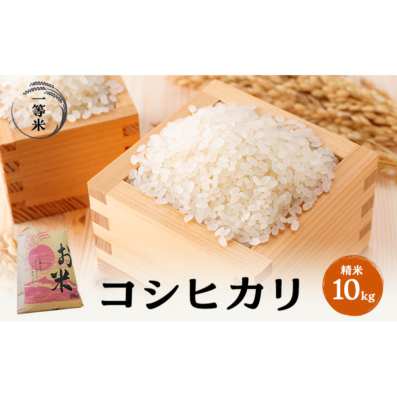 【令和5年福井県若狭町産】コシヒカリ(1等米)精米10kg お米ブランド米 白米 ご飯 おにぎり お弁当 和食 粘り もちもち 甘み 安心 安全 福井県若狭町12000米・パン白米