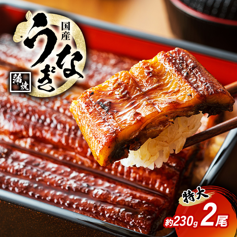 国産うなぎ 特大 蒲焼き 約230g前後 2尾 国産 うなぎ ウナギ 鰻 国産鰻 うなぎの蒲焼き ウナギの蒲焼 国産うなぎ蒲焼 国産鰻の蒲焼 魚 お魚 魚介 魚介類 海鮮 海鮮セット 惣菜 職人 手焼き ギ
