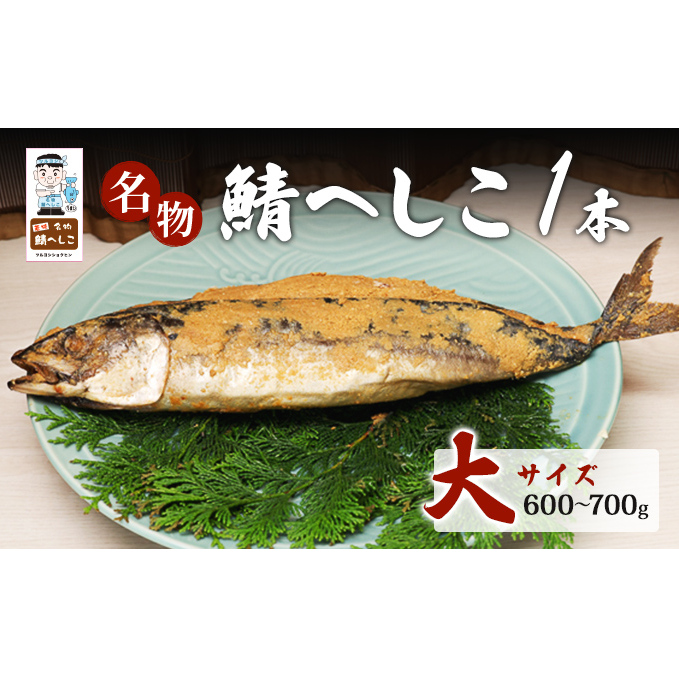 Iւ 1{ TCY600g`700g 䌧ዷ10000ECY̑ ECY