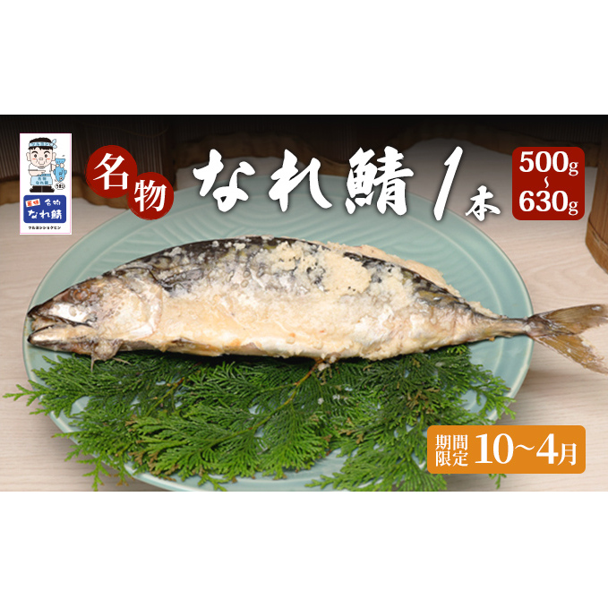 名物なれ鯖 1本 500g〜630g 期間限定10月から翌年4月 福井県若狭町13000魚介・海産物その他 魚介・海産物