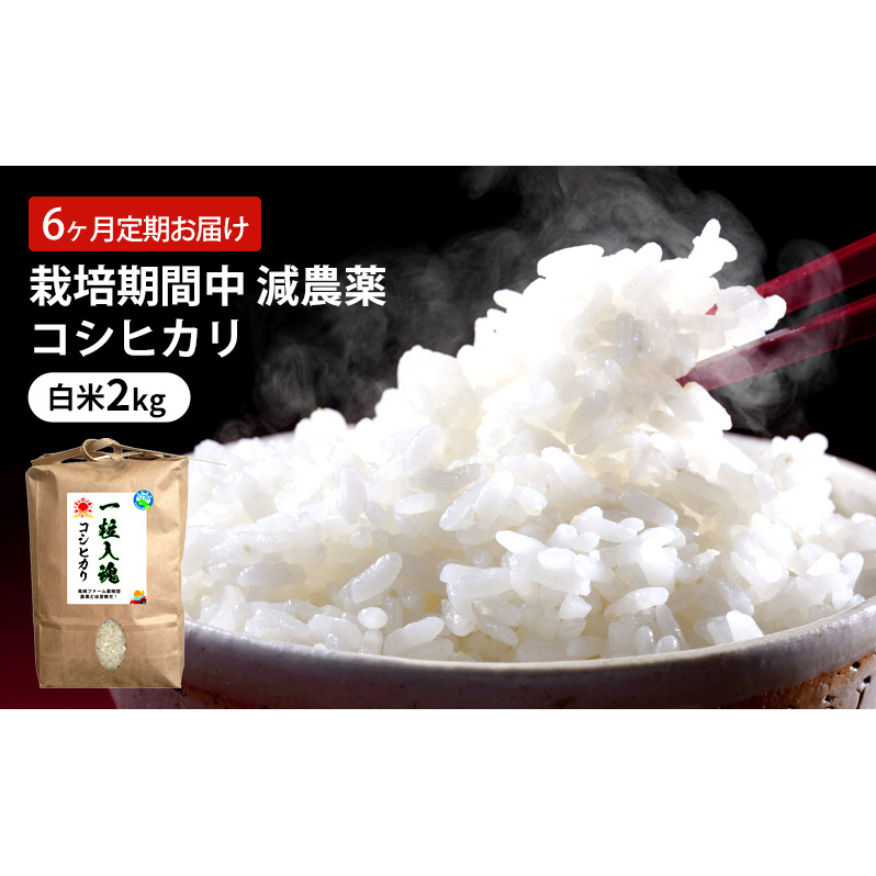 定期便 6回 栽培期間中 減農薬 コシヒカリ 白米 2kg 6ヶ月 定期 お届け福井県若狭町36000米・パン白米