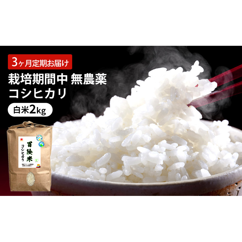 定期便 3回 栽培期間中 無農薬 コシヒカリ 白米 2kg 3ヶ月 定期 お届け福井県若狭町22000米・パン白米
