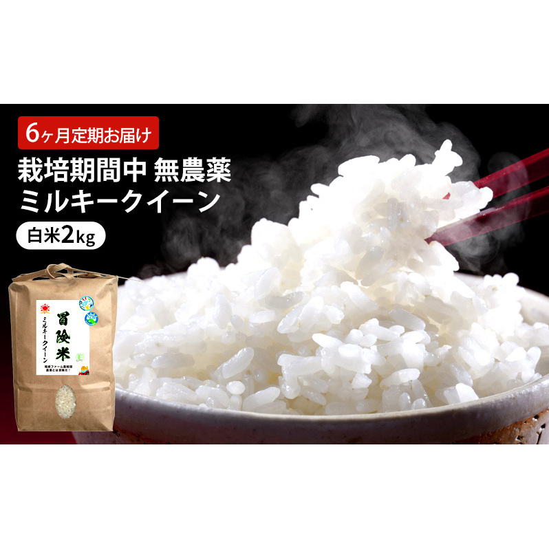 定期便 6回 栽培期間中 無農薬 ミルキークイーン 白米 2kg 6ヶ月 定期 お届け福井県若狭町44000米・パン白米