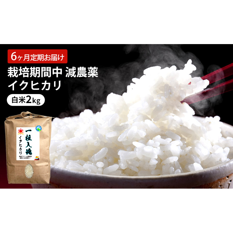 定期便 6回 栽培期間中 減農薬 イクヒカリ 白米 2kg 6ヶ月 定期 お届け福井県若狭町36000米・パン白米