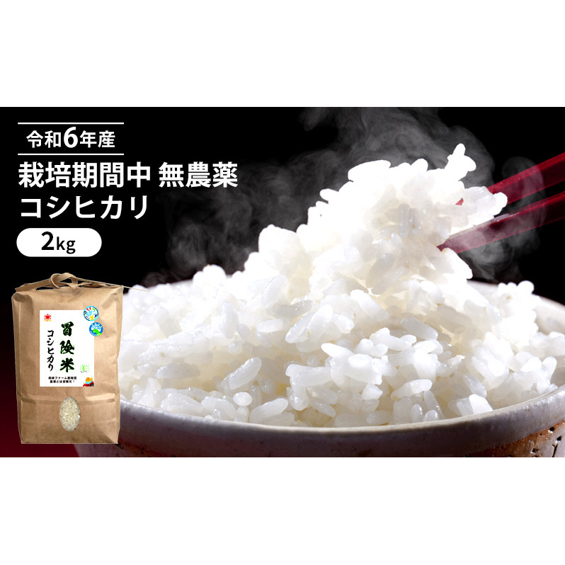 令和6年産 栽培期間中 無農薬 コシヒカリ 2kg福井県若狭町8000米・パン白米