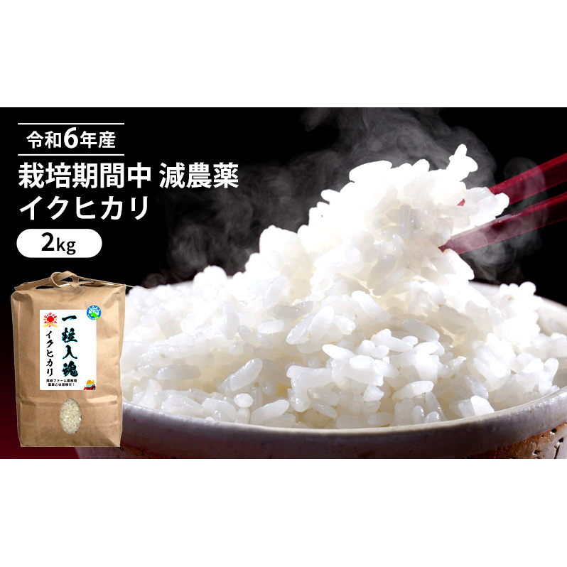 令和6年産 栽培期間中 減農薬 イクヒカリ 2kg福井県若狭町6000米・パン白米