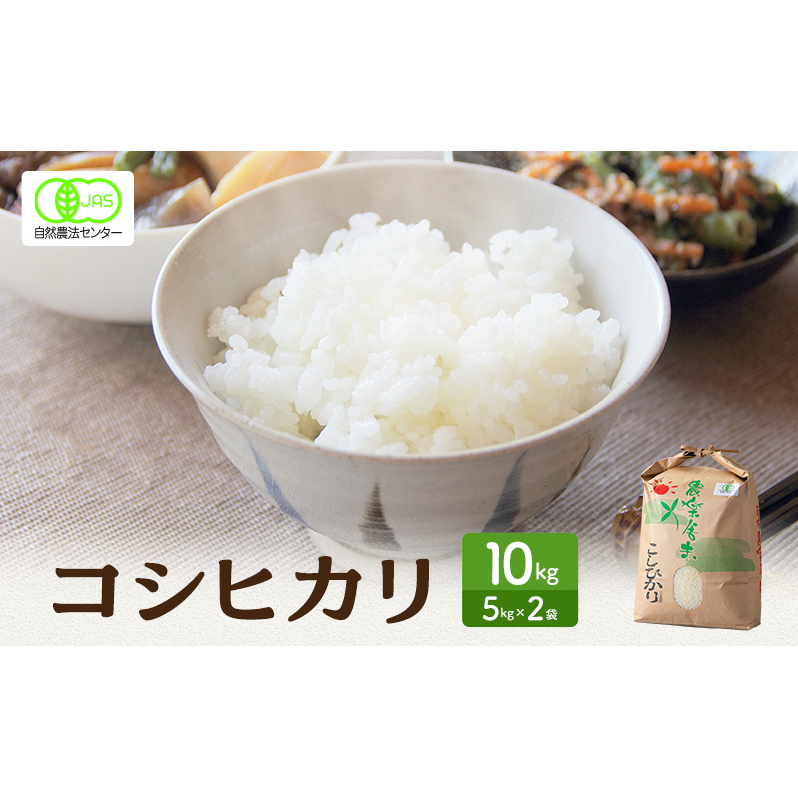  L@JAS F RVqJ  10kg Ђ    R    ͂ 䌧䌧ዷ39000āEp