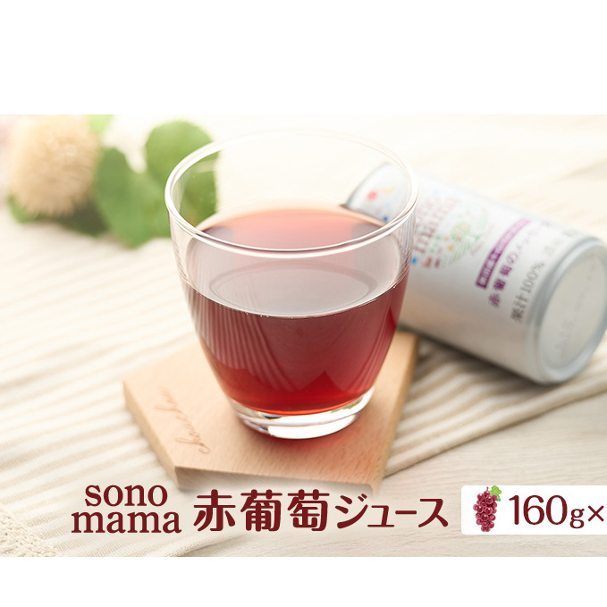 ԕW[Xusonomamavi160g×20{j Ԃǂ uhE  HcH㒬17000Eʏ`E؈