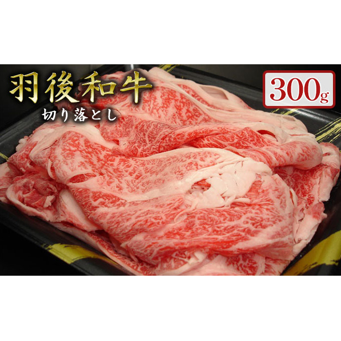 羽後和牛 贅沢切り落とし300g 秋田県羽後町15000肉牛肉