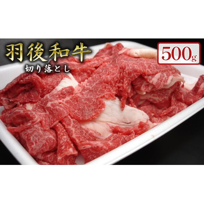 500g̃{[IHa ؂藎Ƃ HcH㒬15000