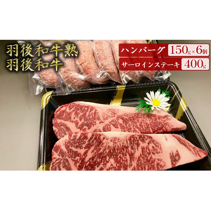 「羽後和牛」の生みの親 「羽後和牛 熟」ハンバーグ150g×6個+「羽後和牛」サーロインステーキ400g 秋田県羽後町37000鍋セット・総菜・加工食品総菜