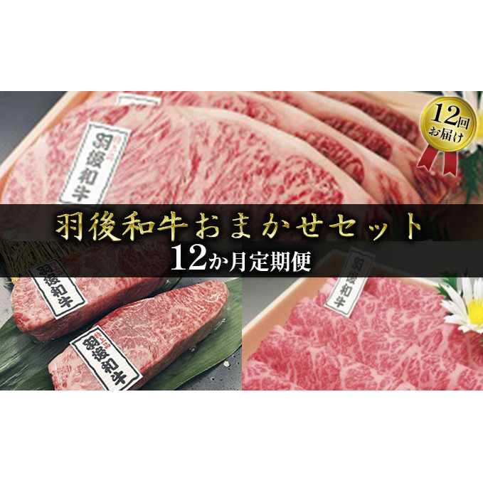 希少部位も有り 部位・量おまかせ!羽後和牛定期便(12ヶ月) 牛肉 お肉 秋田県羽後町1108000肉牛肉
