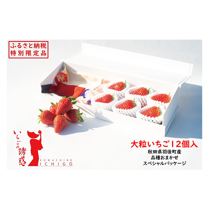 いちごの誘惑 大粒 12個入 特別パッケージ 果物類 苺 大粒いちご 章姫 紅ほっぺ かおり野 厳選 ジューシー 甘い 世界に一つ 秋田県羽後町37000果物・フルーツいちご