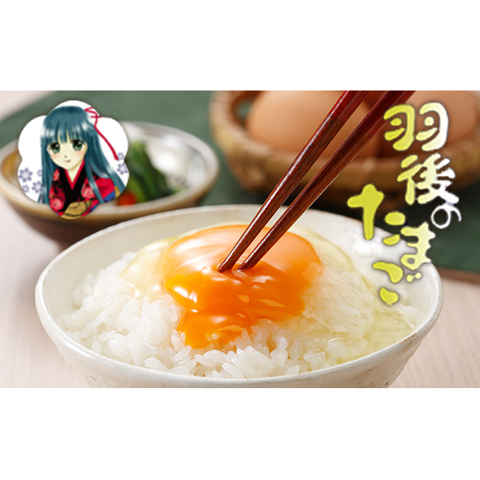 羽後のたまご 30個(27個+割れ補償3個) 生卵 活性酸素 抑制 抗酸化力 アスタキサンチン DHA 美味しい 健康維持 秋田県羽後町9000卵・乳製品卵(鶏、烏骨鶏等)