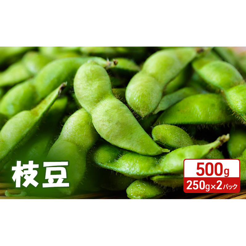 s\ Hc H㒬Y } 500g i250g×2j [܂ ȒPW Y Y ܂] HcH㒬7000؁Ê