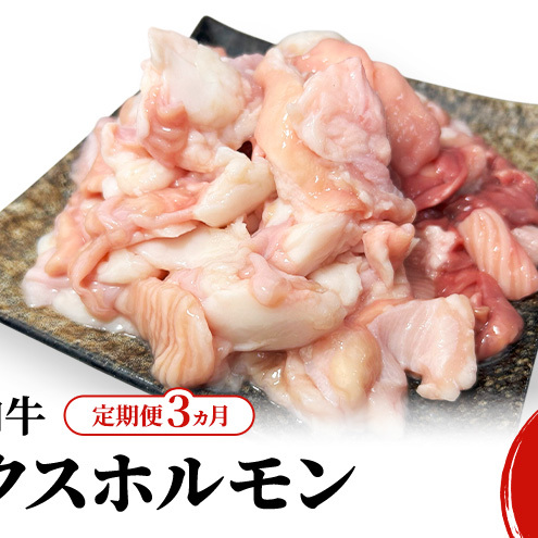 s  3 t Hc H㒬Y Ha ~bNXz 600g i300g×2jy ē z BBQ o[xL[ Lv zHcH㒬43000