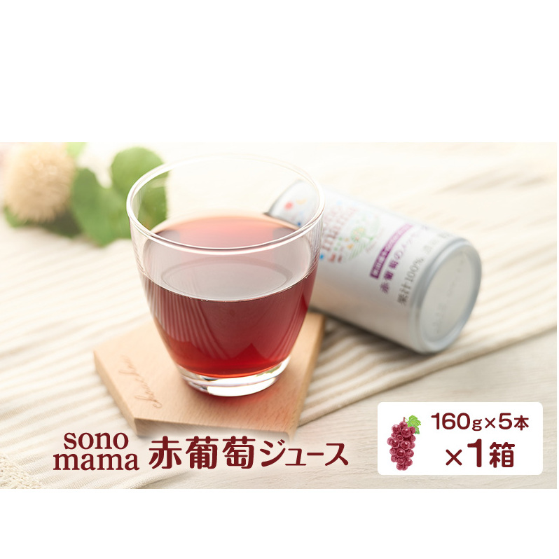 ԕW[Xusonomamavi160g×5{j×1 Ԃǂ uhE W[X ԂǂW[X HcH㒬7000Eʏ`E؈