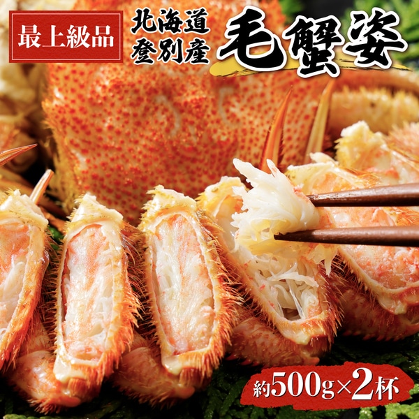 kCoʎY {̖ъI500gO×2t@[gm-0402]kCoʎs30000ECY