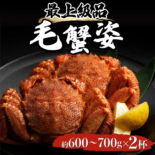 kCoʎY {̖ъI600g`700g×2t@[gm-0404]kCoʎs50000ECY
