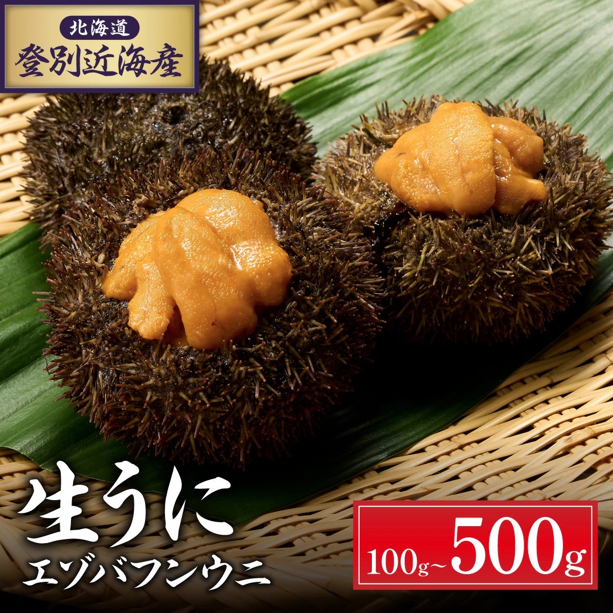 kC oʋߊCY ɏG]otEj pbNl 100g 2025N6蔭[mh-0763]kCoʎs30000ECY