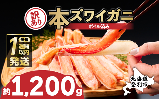yŒZ1TԈȓoׁz󂠂 Ⓚ {C 킢  1200g YCKj n[t|[V [mk-0803]kCoʎs24000ECYJj