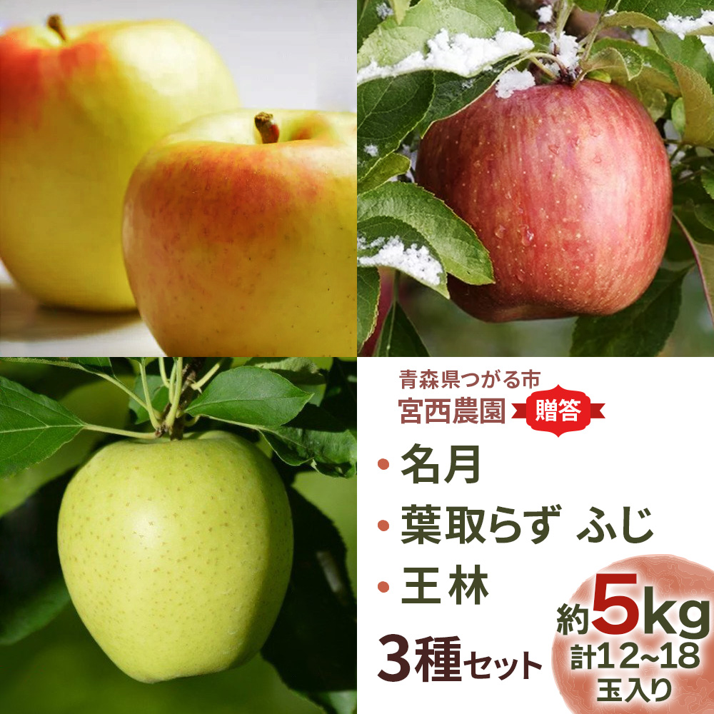 [] ×t炸ӂ×сy5kg v1218ʁzґ 3Zbgbߘa7N 2025N Mtg XY Ìy   S ʕ t[c ߂ tW  [0687]X