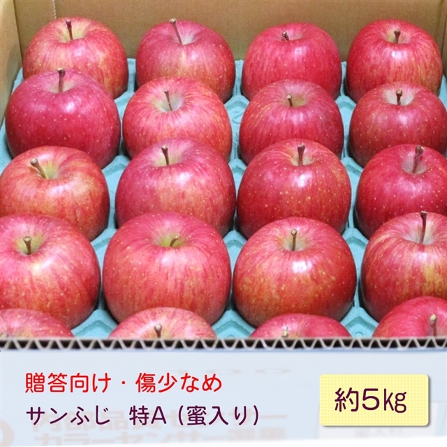 [EȂ] Tӂ  A() 5kg(20)bXY  Ìy S ь ʕ t[c TtW 2025N ߘa7N [0720]Xs18000ʕEt[c񂲁E