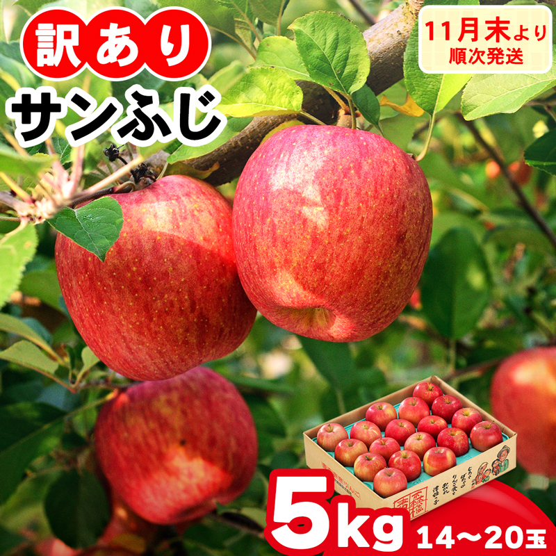 ƒp Tӂ 5kg (14ʂ20ʓ 5kg 1) ڂɂ킯 ͂̂܂܁bߘa7NY 2025NY X Ìy   S TtW 󂠂 A ʕ { X [0839]