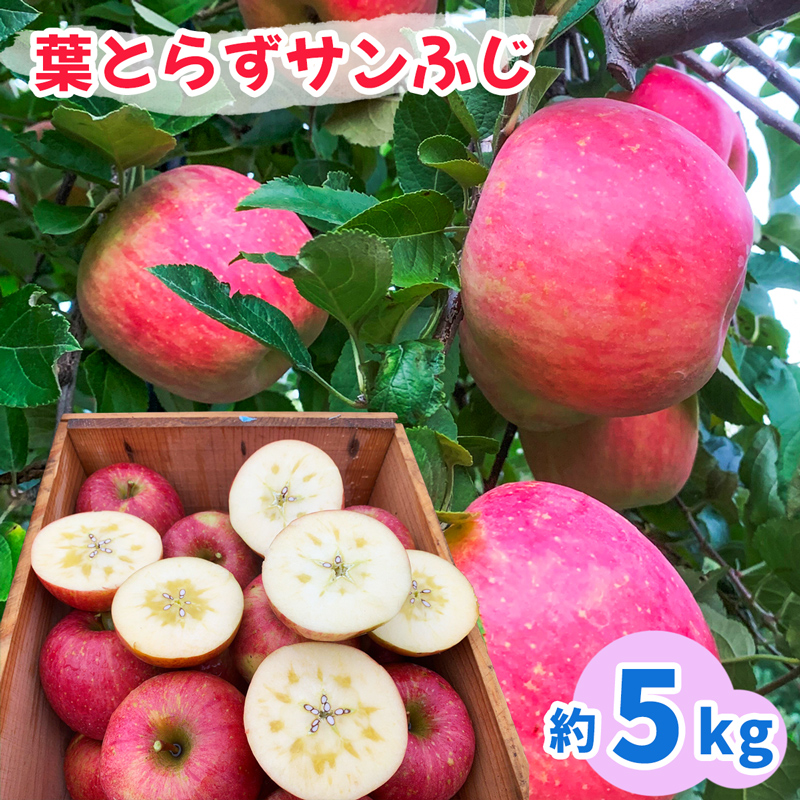 nItƂ炸Tӂ 5kgbXY X  S ь ʕ t[c ӂ TtW ߘa7N 2025N [0891]Xs15000ʕEt[c񂲁E