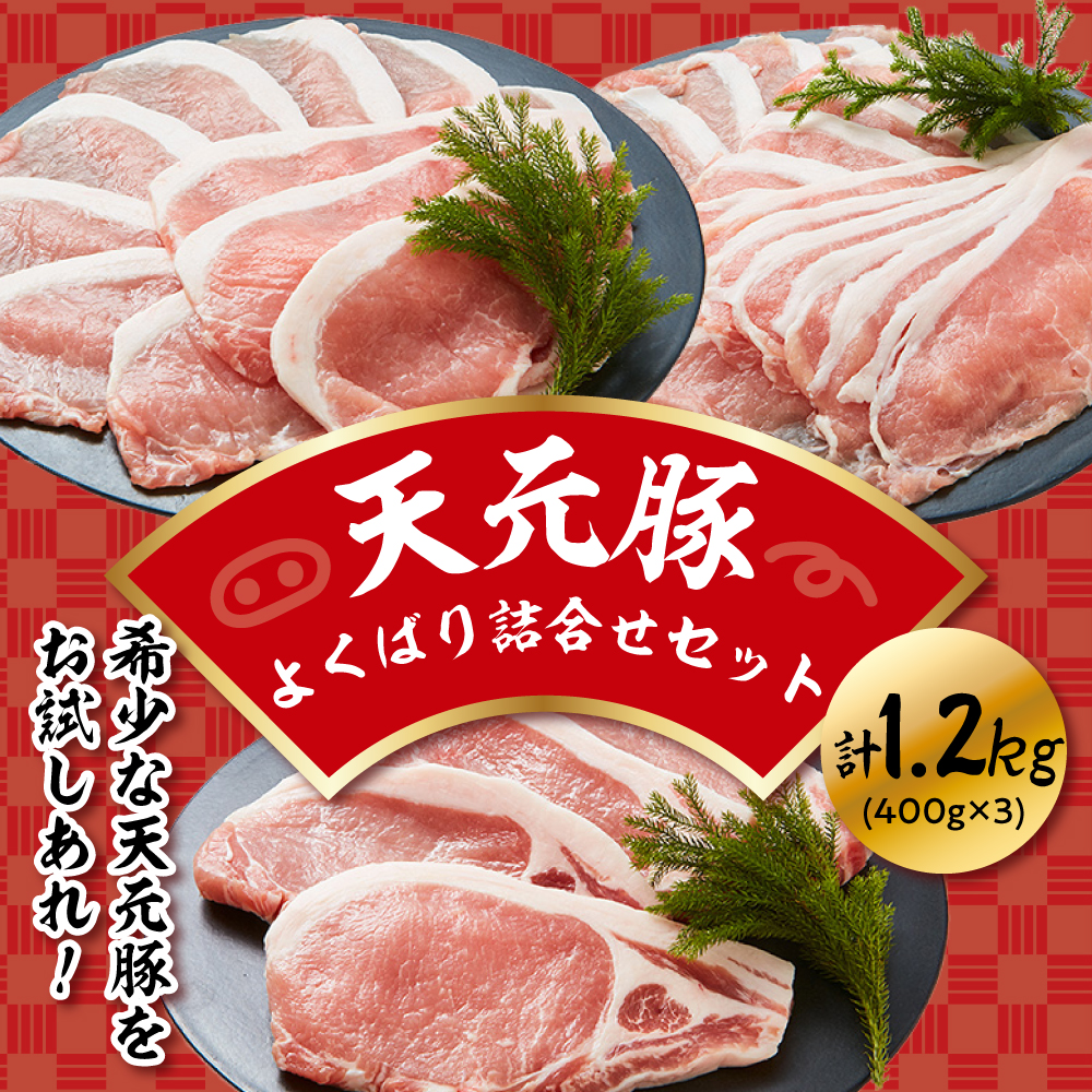 天元豚 よくばり詰合せセット 計1.2kg しゃぶしゃぶ 焼肉 とんかつ 豚肉山形県米沢市18000肉