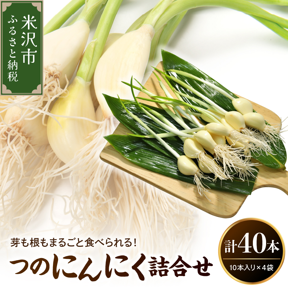 つのにんにく 詰合せ 4袋 ( 1袋 10本入り ) 計 40本 発芽にんにく にんにく 水耕栽培山形県米沢市6000野菜・きのこその他 野菜
