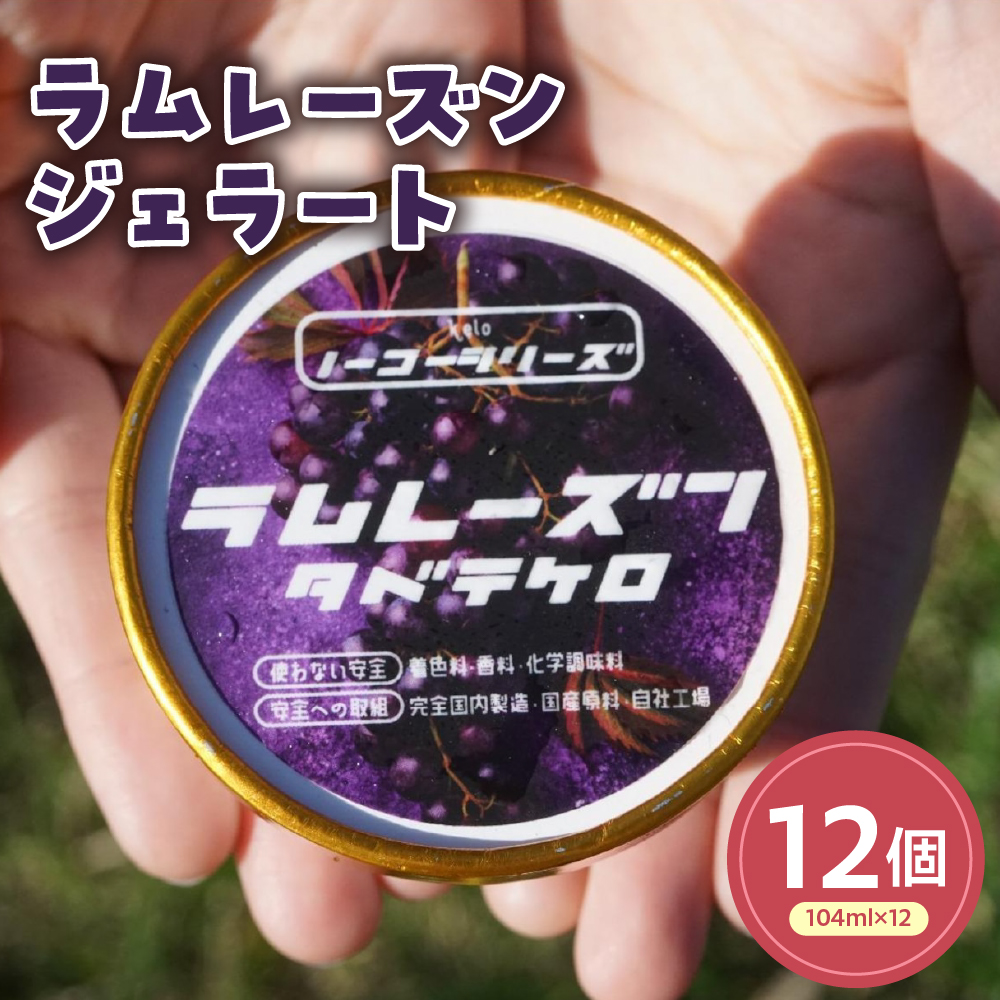 ラムレーズンジェラート(104ml)〔12個入り〕 レーズン アイス スイーツ 洋菓子 お菓子 デザート 贈答 贈り物 ギフト プレゼント お取り寄せ  山形県 米沢市山形県米沢市26000菓子・スイーツ