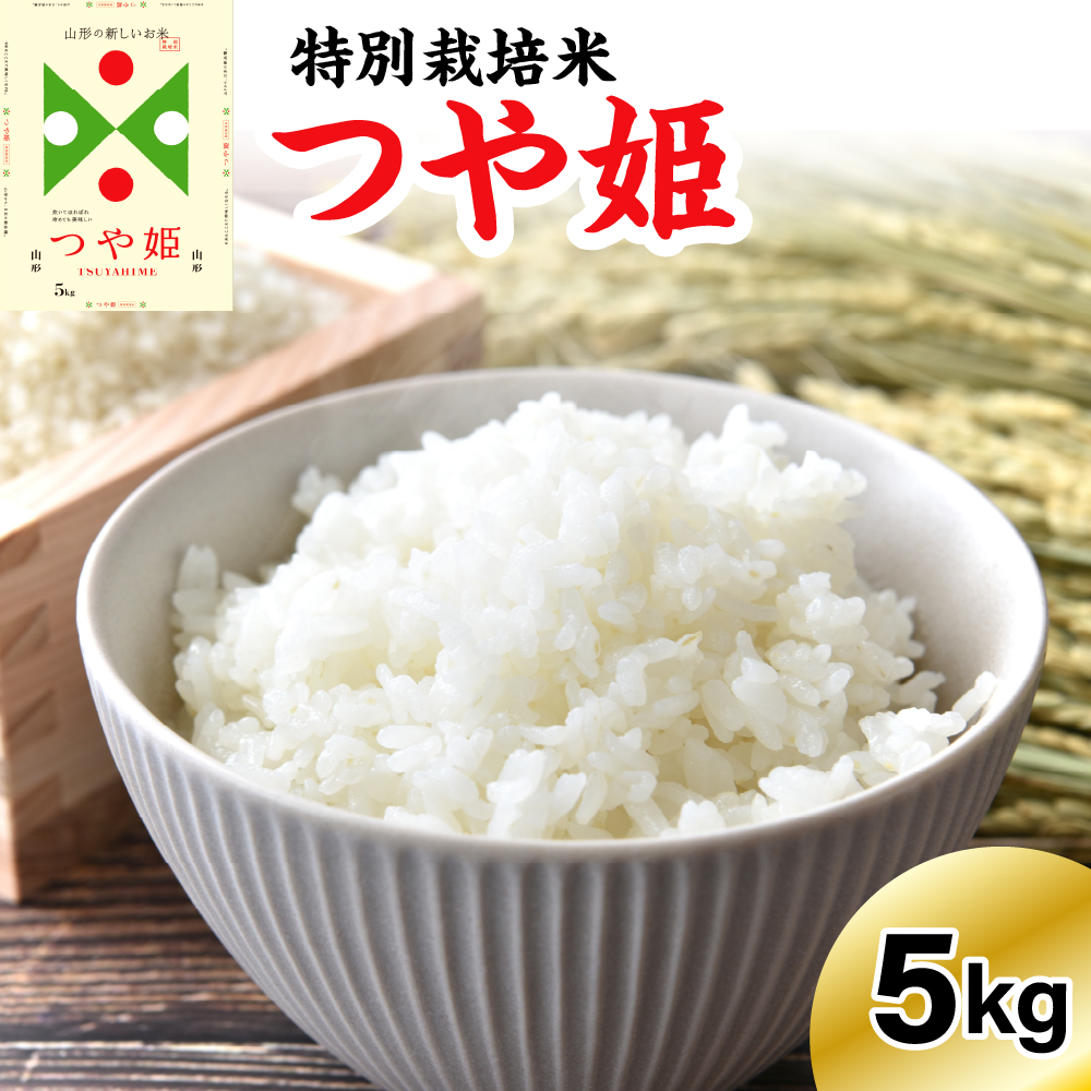 ss\t 2026N2 yߘa7NYz ʍ͔| P 5kg kālR`đs19000āEp