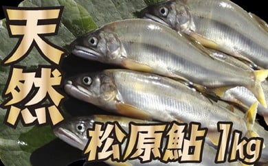 MAR` yVRz R`ŏ㒬18500ECY