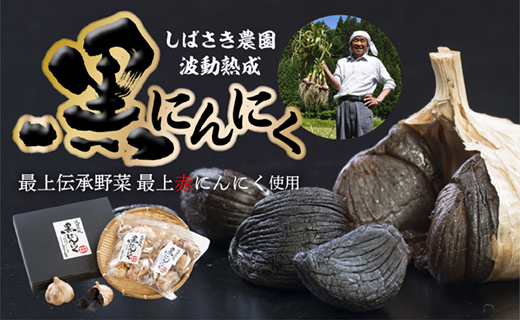 波動熟成黒にんにくAセット山形県最上町12500野菜・きのこ