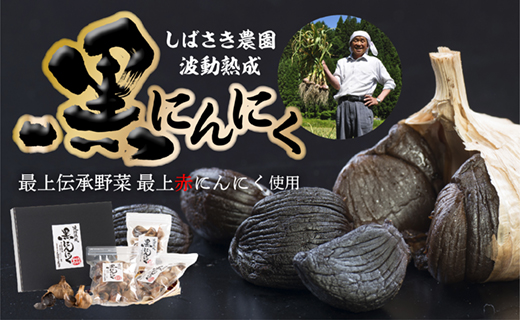 波動熟成黒にんにくBセット山形県最上町12500野菜・きのこ