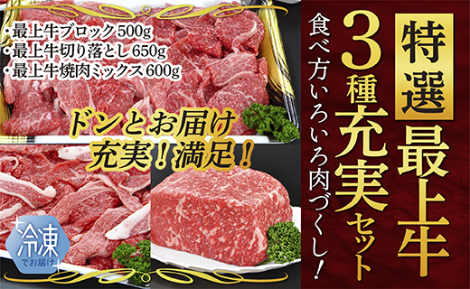 【冷凍】特選最上牛3種充実セット山形県最上町50000肉