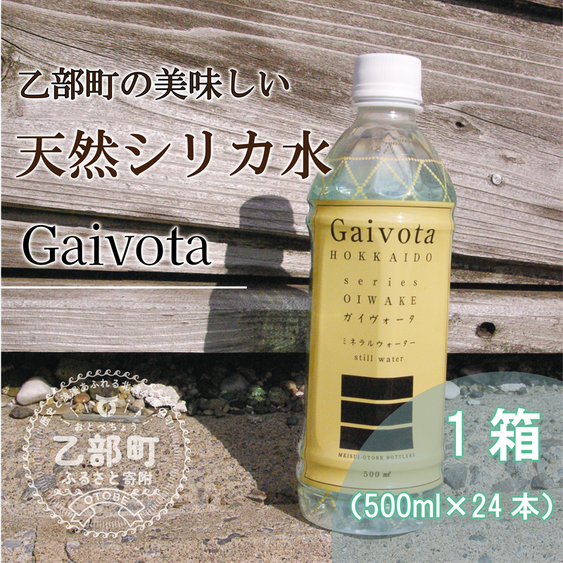 Gaivota 1(500ml×24{/)k̃nCO[hHi VRVJ ~lEH[^[  kCY kC  VR e PCf Y VJ KCH[^  ~l 