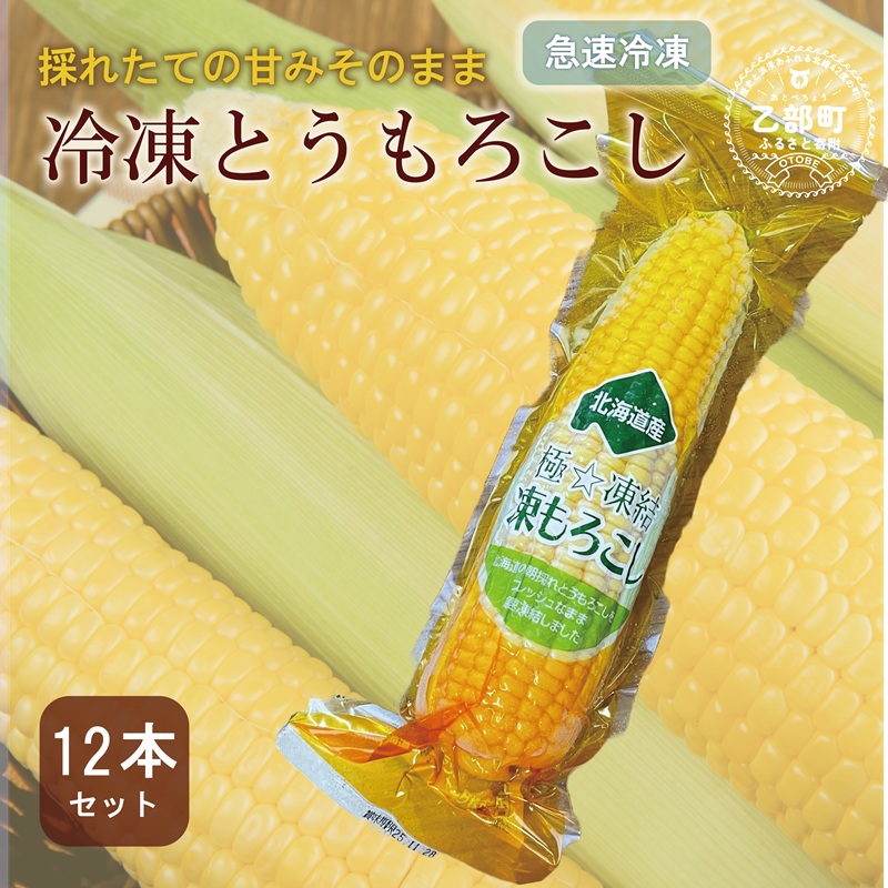 <ささや農園産 極★凍結とうもろこし 12本>北海道 道産 国産 乙部町 とうもろこし とうきび 冷凍 急速冷凍 鮮度そのまま 甘さ 糖度 個包装 ゴールドラッシュ 恵味ゴールド北海道乙部町2650