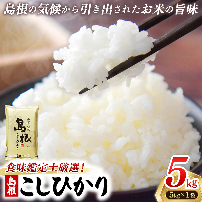 【新米 先行受付】食味鑑定士厳選 島根こしひかり 5kg(5kg×1袋)【米 コシヒカリ 令和7年産 先行予約 新米予約 精米 島根県 安来市】島根県安来市17000米・パン白米