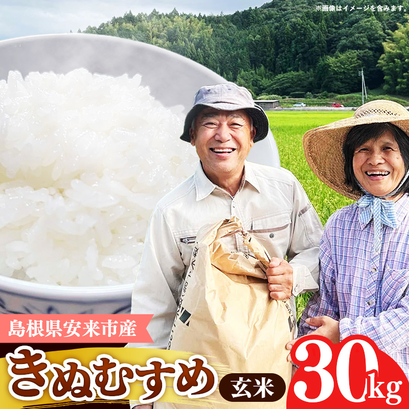 島根県安来市産 きぬむすめ 玄米 30kg 【令和7年産 新米 お米 こめ コメ 米 ごはん ご飯 国産 お弁当 美味しい 人気 おすすめ 島根県 安来市】【価格変更】島根県安来市75000米・パン玄米・雑