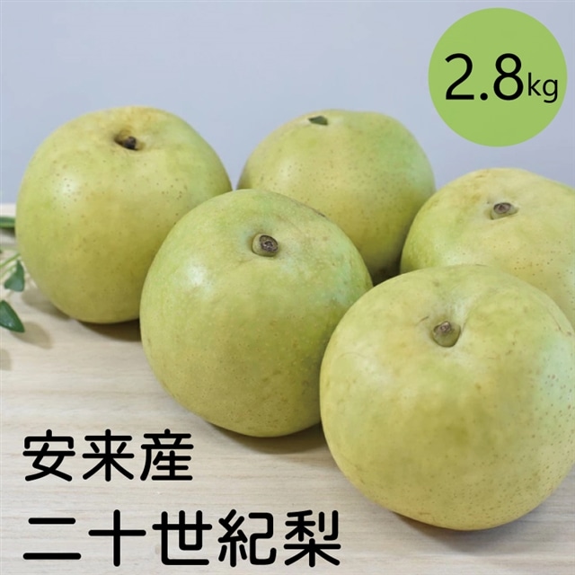 二十世紀梨 2.8kg【先行受付 2025年発送 梨 なし ナシ 20世紀 美味しい みずみずしい 期間限定 先行予約】島根県安来市15000果物・フルーツりんご・梨