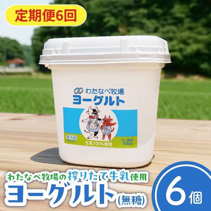 【定期便6回】ヨーグルト500g(プレーン)6個セット【無糖 ネッカ牛乳 ノンホモ製法 セット 搾りたて 栄養 こだわり おやつ デザート 朝食 スイーツ 自然派 化学合成物質不使用 安心 乳製