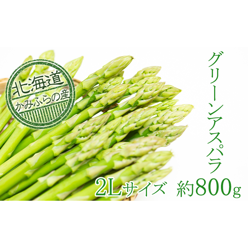 xǖ쒬YO[AXp[In]800g(2LTCY) AXpKX  O[AXpKX kCxǖ쒬16000؁Ê̑ 