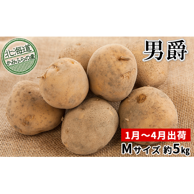 越冬じゃがいも【男爵】約5kg≪北海道上富良野産≫ 野菜 芋 北海道上富良野町10000野菜・きのこじゃがいも・イモ類