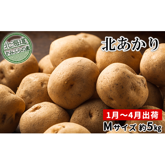 y 2025N  z s\ kC xǖ Yn z~ Ⴊ k M TCY  5kg ①   WKC  |eg  kCxǖ쒬14000؁ÊႪ