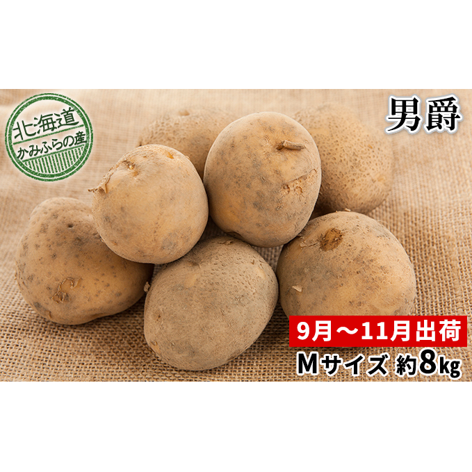 VႪyj݁z8kgkCxǖY  kCxǖ쒬10000؁ÊႪEC