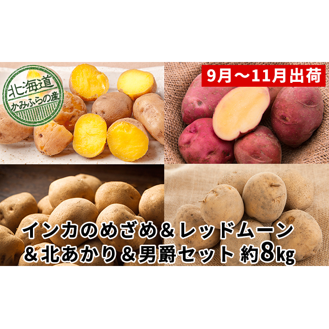 じゃがいも4種食べ比べセット計約8kg≪北海道上富良野産≫ 野菜 北海道上富良野町10000野菜・きのこじゃがいも・イモ類