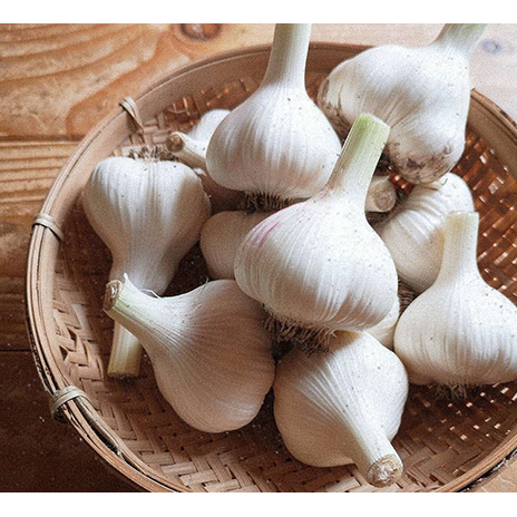 オーガニック 上富良野町産ニンニク 1kg(15〜20個) 野菜 北海道上富良野町14000野菜・きのこその他 野菜